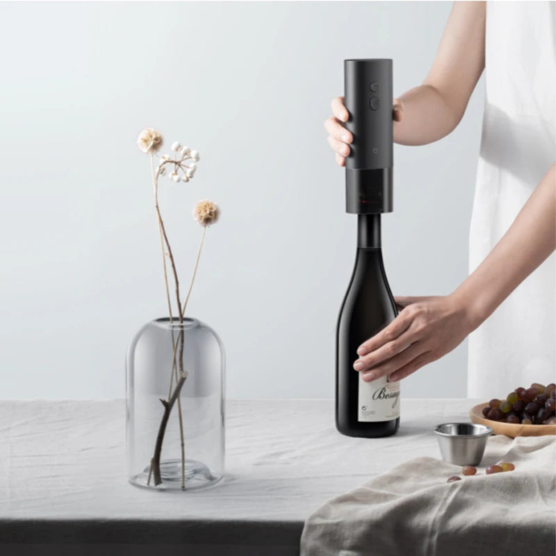 Casserna Wine Opener
